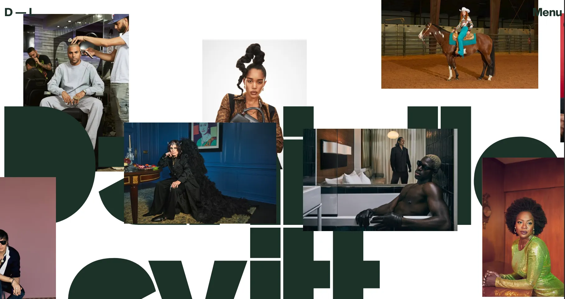 Danielle Levitt Portafolio